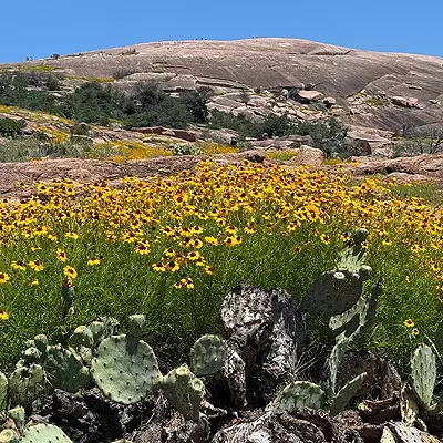 Image: Out-of-Town Hike