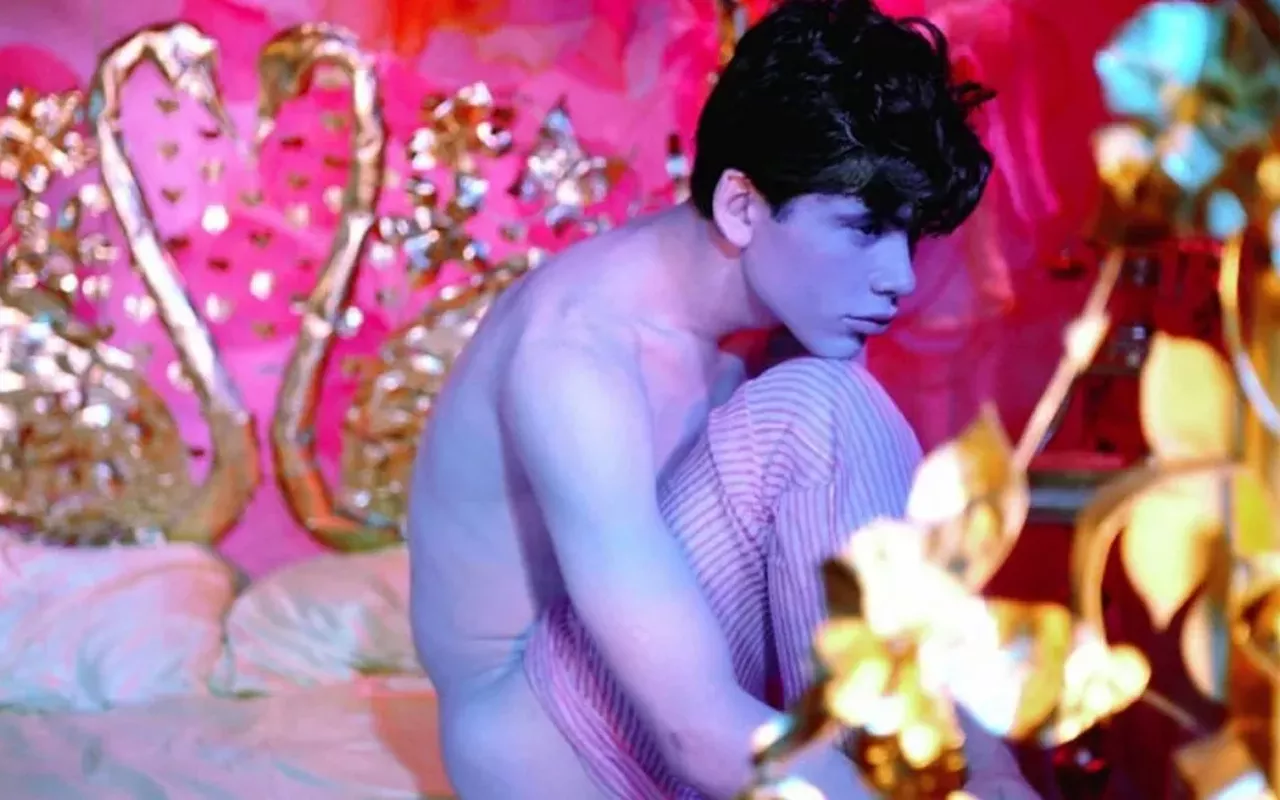 Image: Pink Narcissus