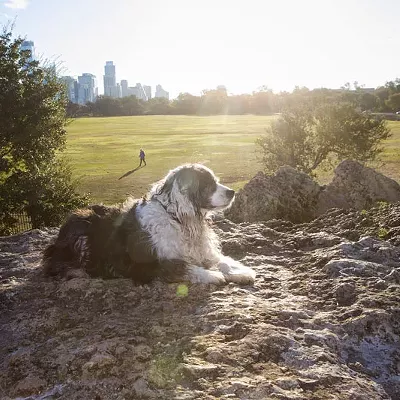 Image: Place to Hang With Your Pet
