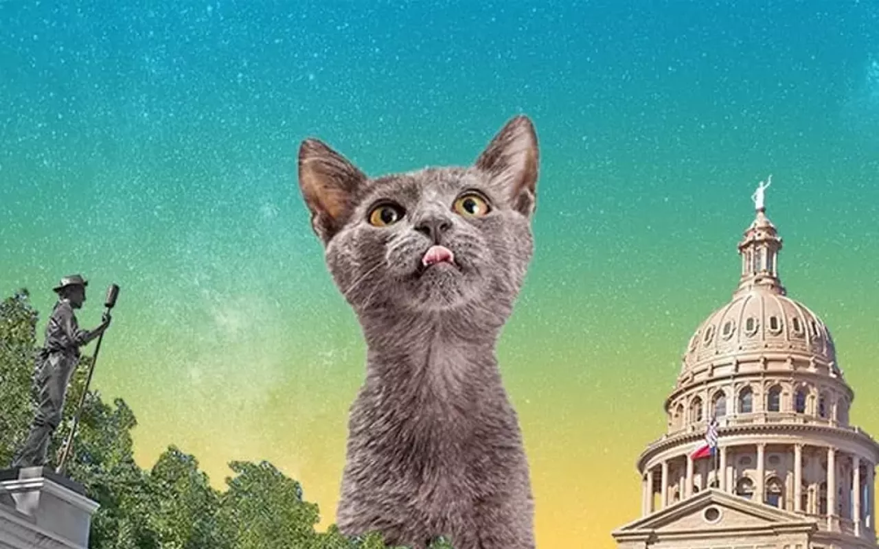 Image: POP Cats