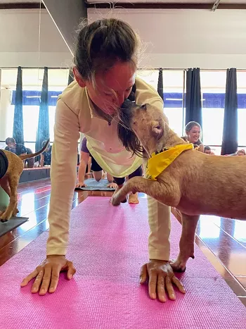 Image: Puppy Yoga Benefiting Austin Pets Alive!