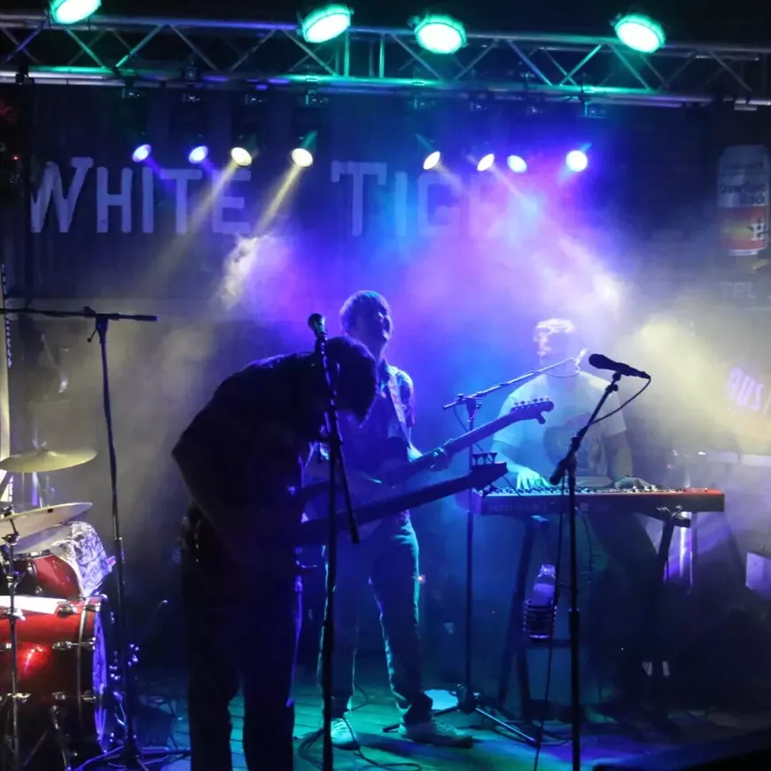 Rippleberry Live at White Tiger