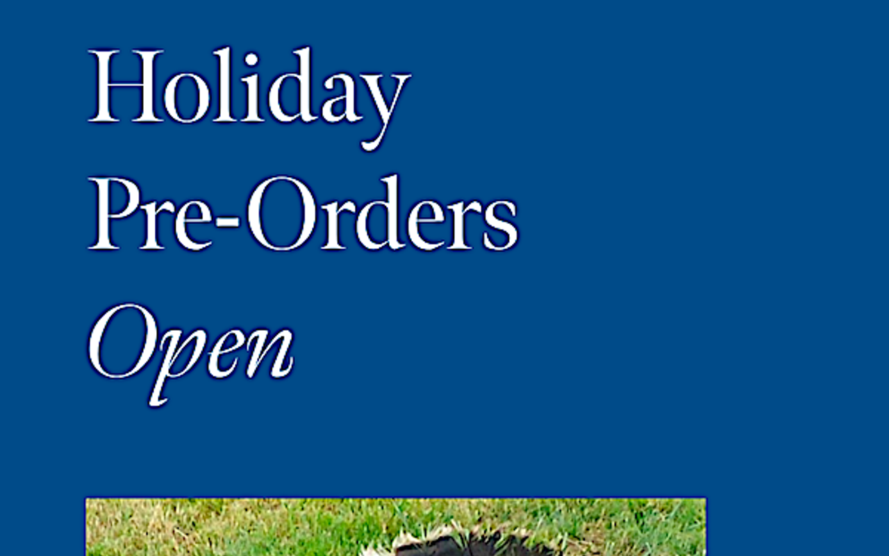 Image: Salt & Time: Holiday Pre-Ordering