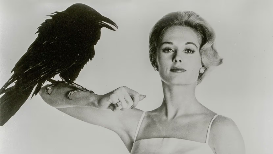 29._The_Birds_star_Tippi_Hendren_Courtesy_of_AFS_Cinema.png