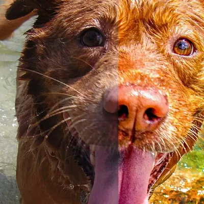 Image: See the Light!: A How-To Photography Afternoon With Will van Overbeek