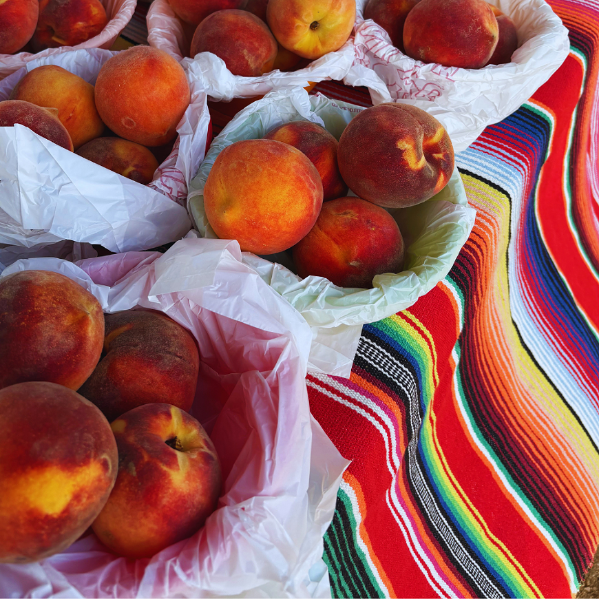 Peaches at SFC's Farmers Market