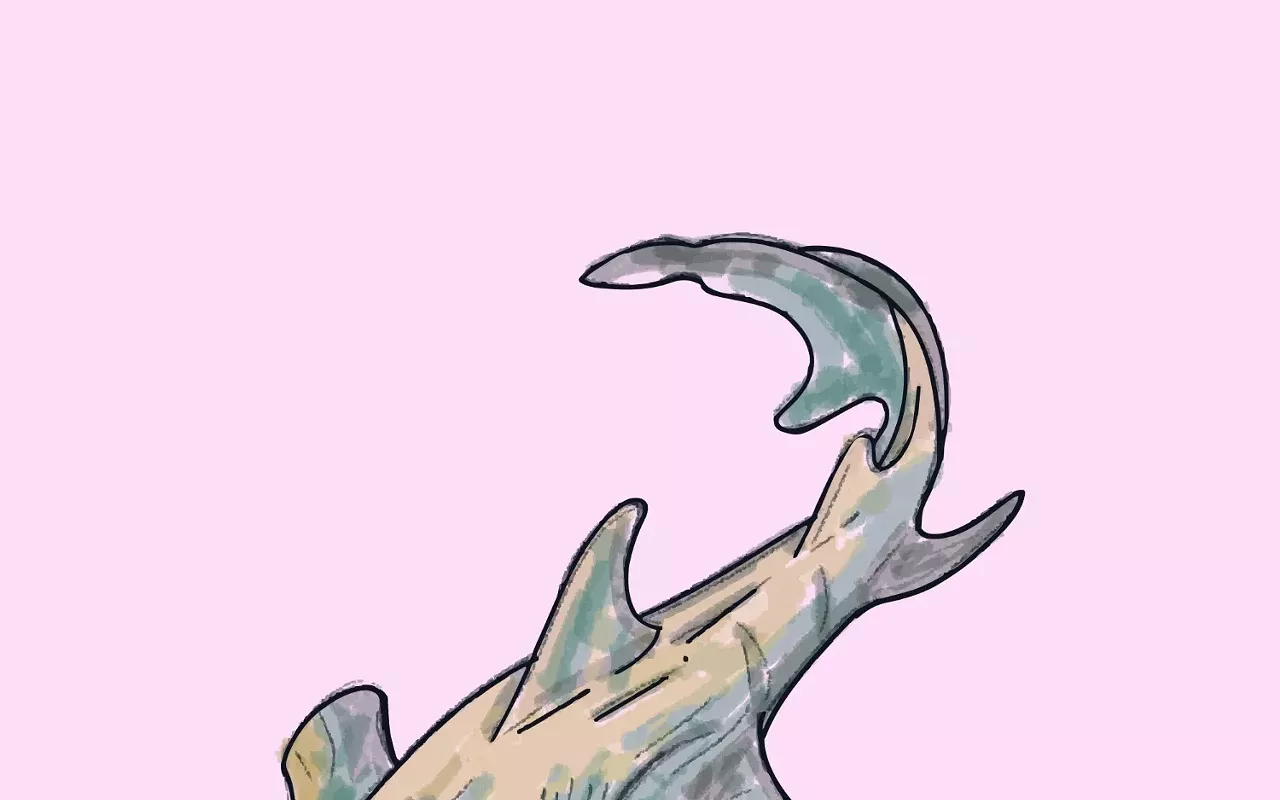 Image: Shark Week: Paper Crafts