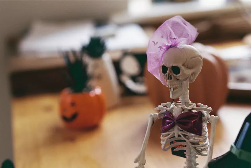 skeleton_fashion_show_photo_by_barney_goodman_via_unsplash.webp