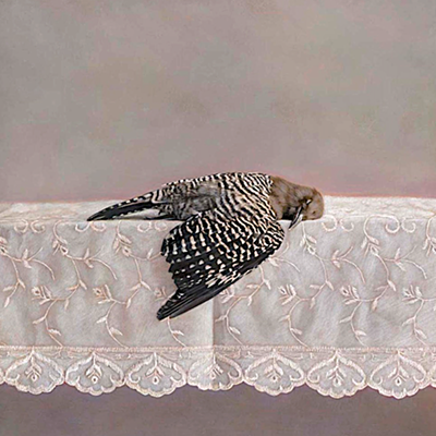 Image: Stephen L. Clark Gallery: Kate Breakey