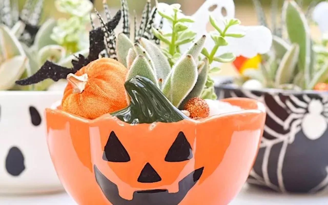 Image: Succulents & Brews: Halloween Succulent Arrangement Class