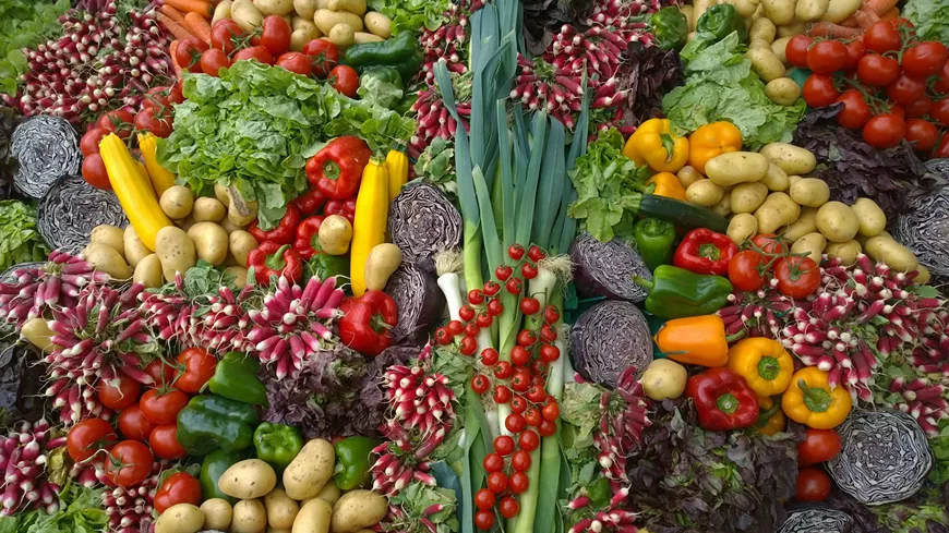 16._texas_vegfest_photo_by_chantal_garnier_via_unsplash.webp