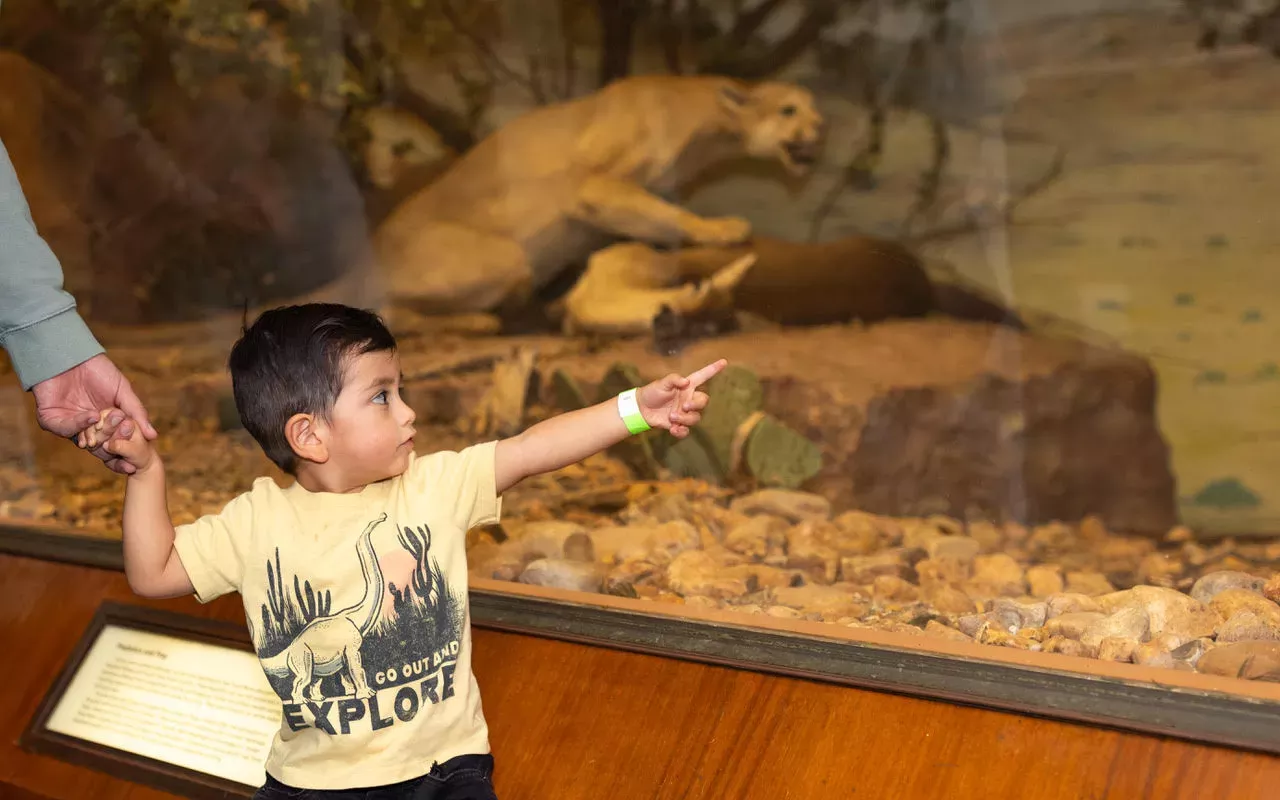 Image: Texas Wildlife Day