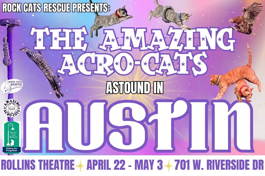 39._the_amazing_acro-cats_flyer.webp