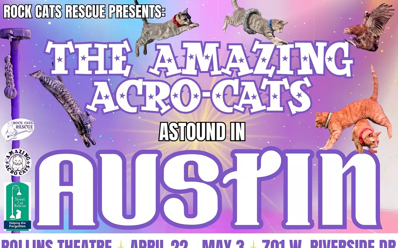 Image: The Amazing Acro-Cats