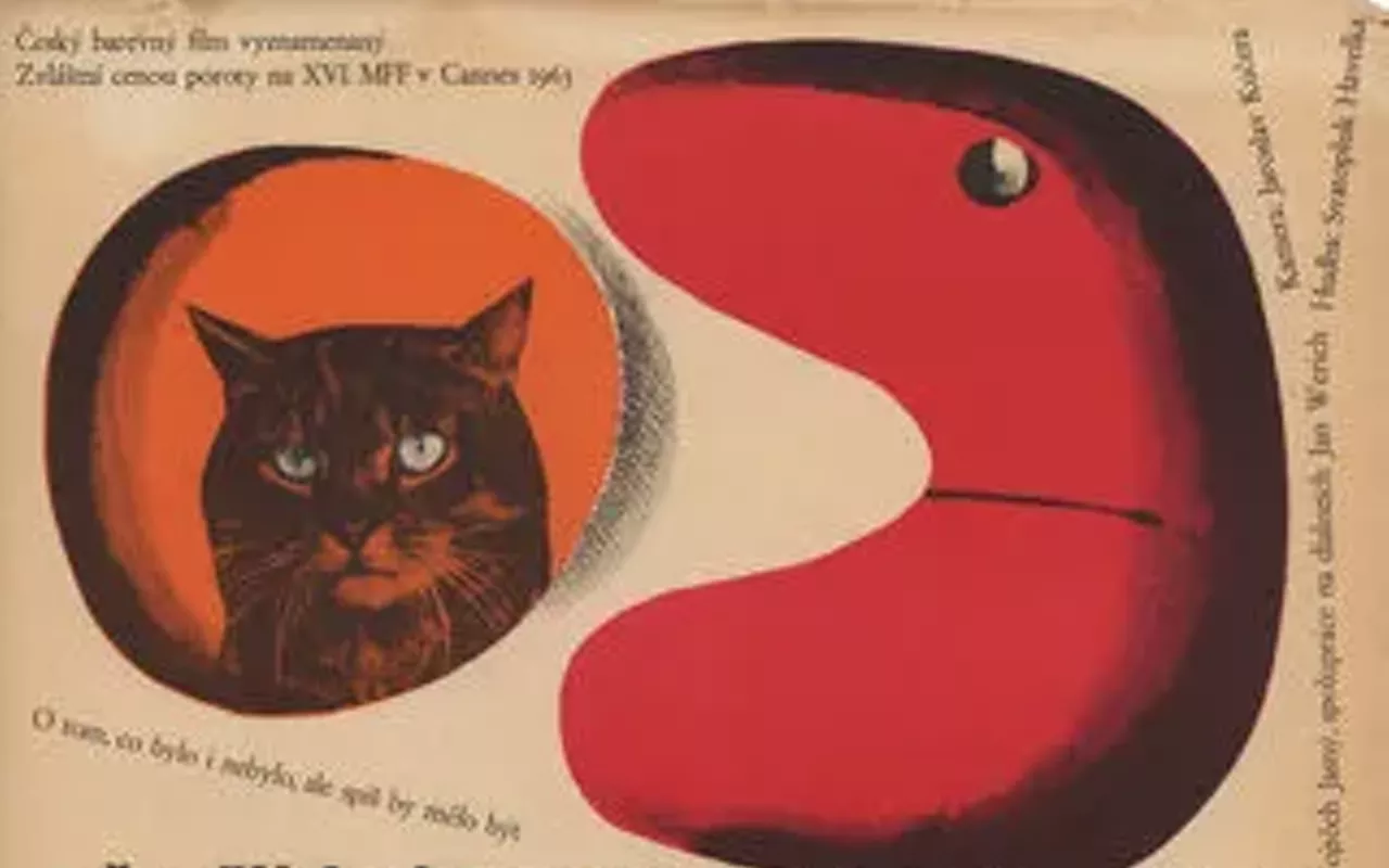 Image: The Cassandra Cat