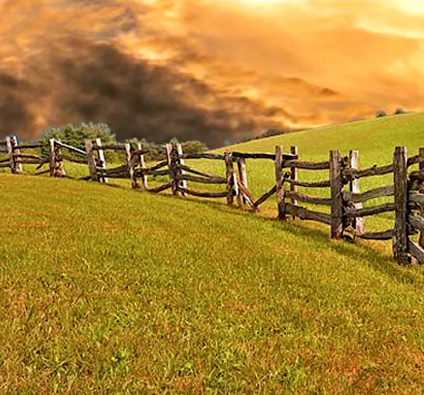 laramie.webp