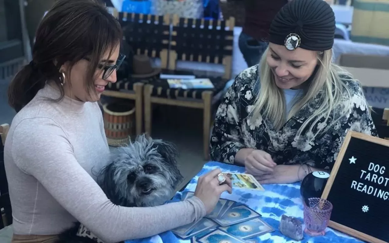 Image: The Tiniest Dog Party in Texas: Pawlentine's Edition