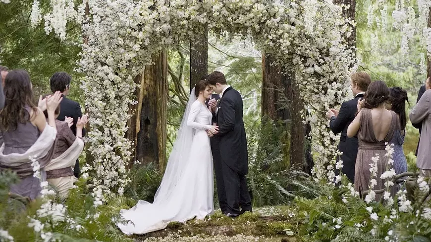33._breaking_dawn_part_1_film_still.webp