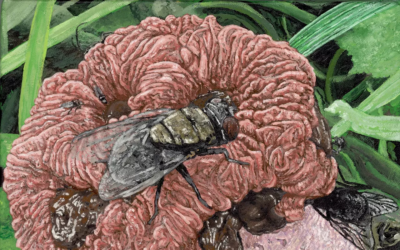 Image: Third Nature: Scenes of Urban Ecology