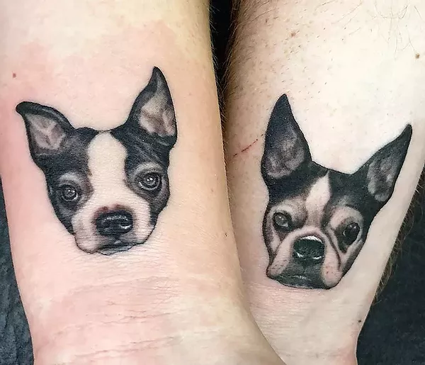 Best Pet Portraits