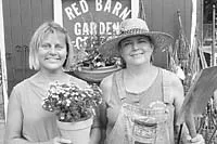 Best Plant Nursery