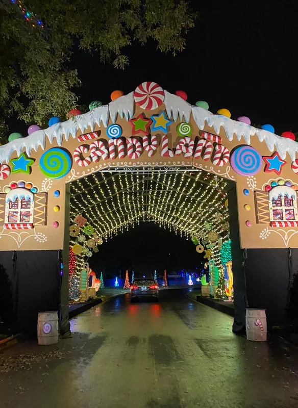 Family Festival