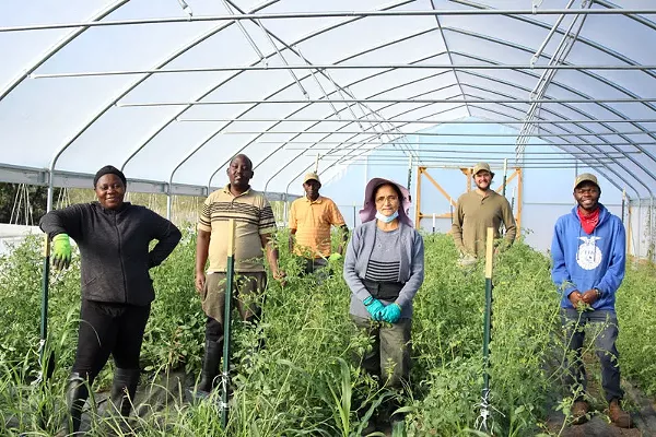 Most Sustained Support of Austin's Refugee Community