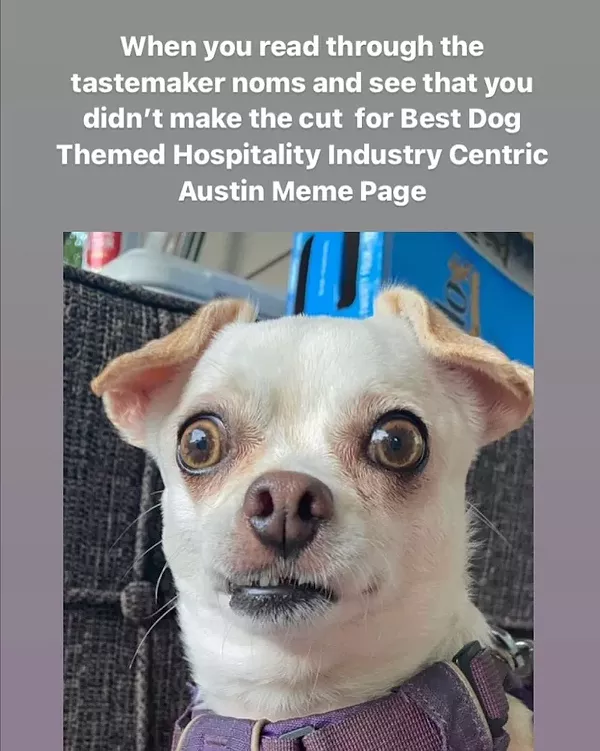 Best Dog-Themed Hospitality Industry-Centric Austin Meme Page