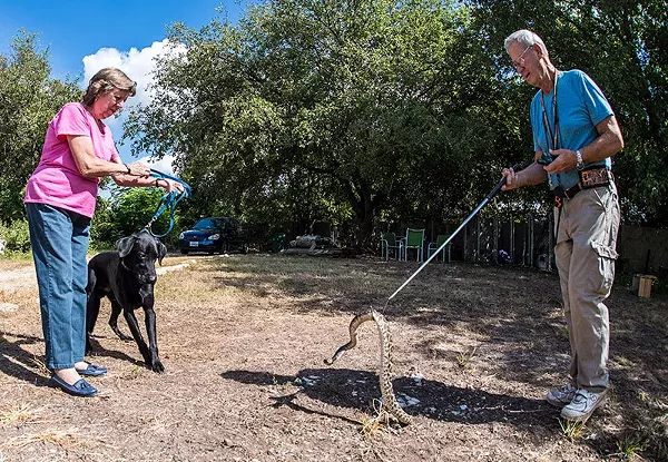 Best Training to Keep Fido Safe in the Woods