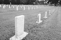 Best Historical Cemetery Stroll