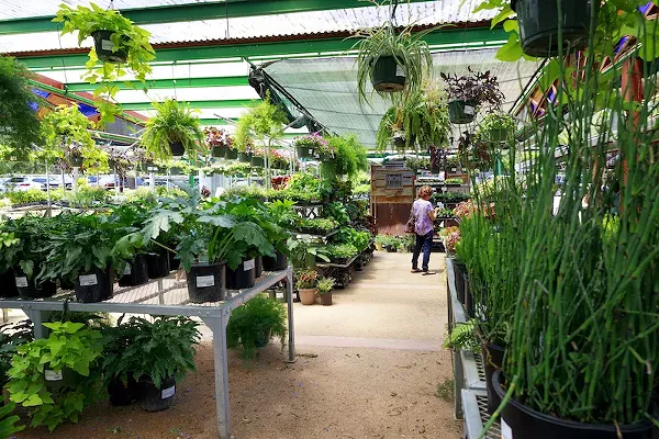 Garden Store/Nursery