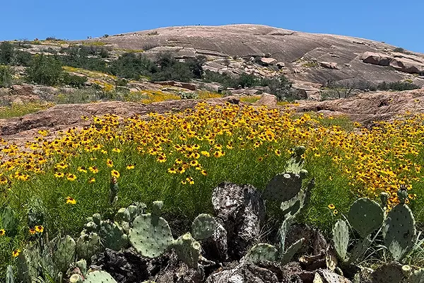 Out-of-Town Hike