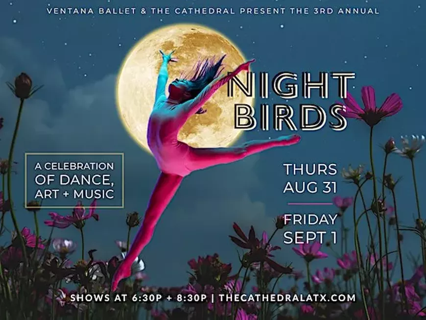 night_birds_2023-4__1_.webp