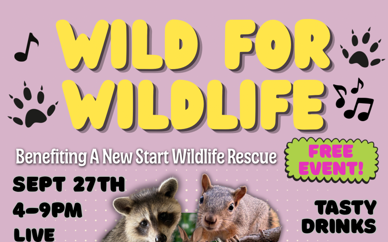 Image: Wild for Wildlife