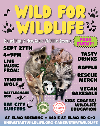 Image: Wild for Wildlife