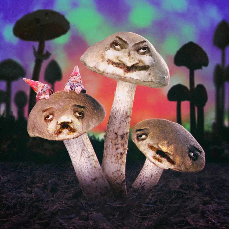 Wild Shape Night: Fun Guys