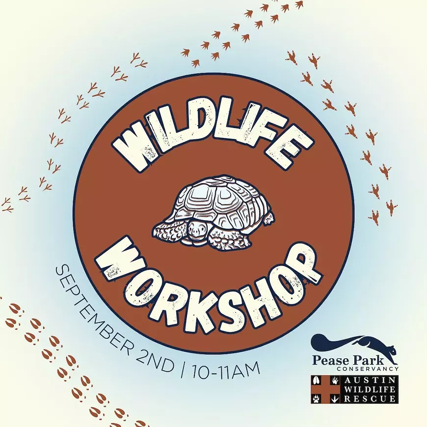 wildlife_workshop.webp