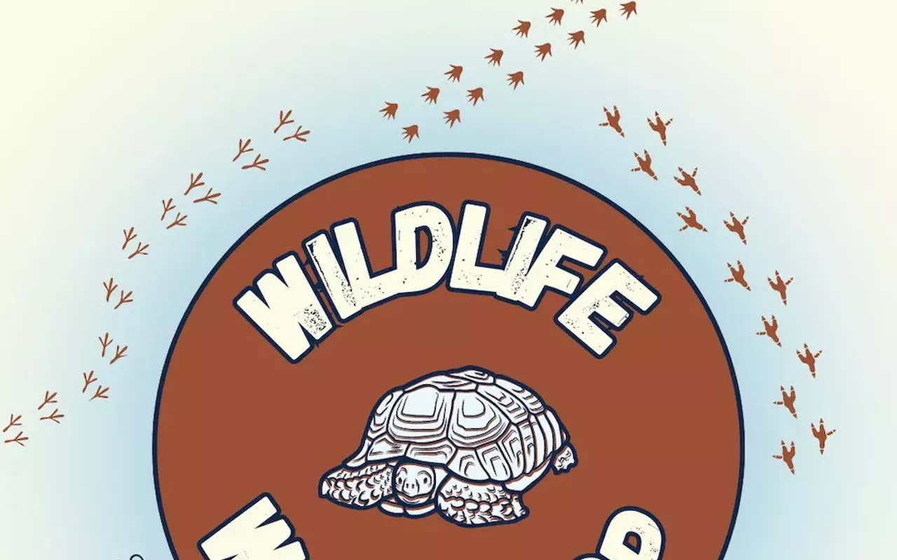 Image: Wildlife Workshop With Austin Wildlife Rescue