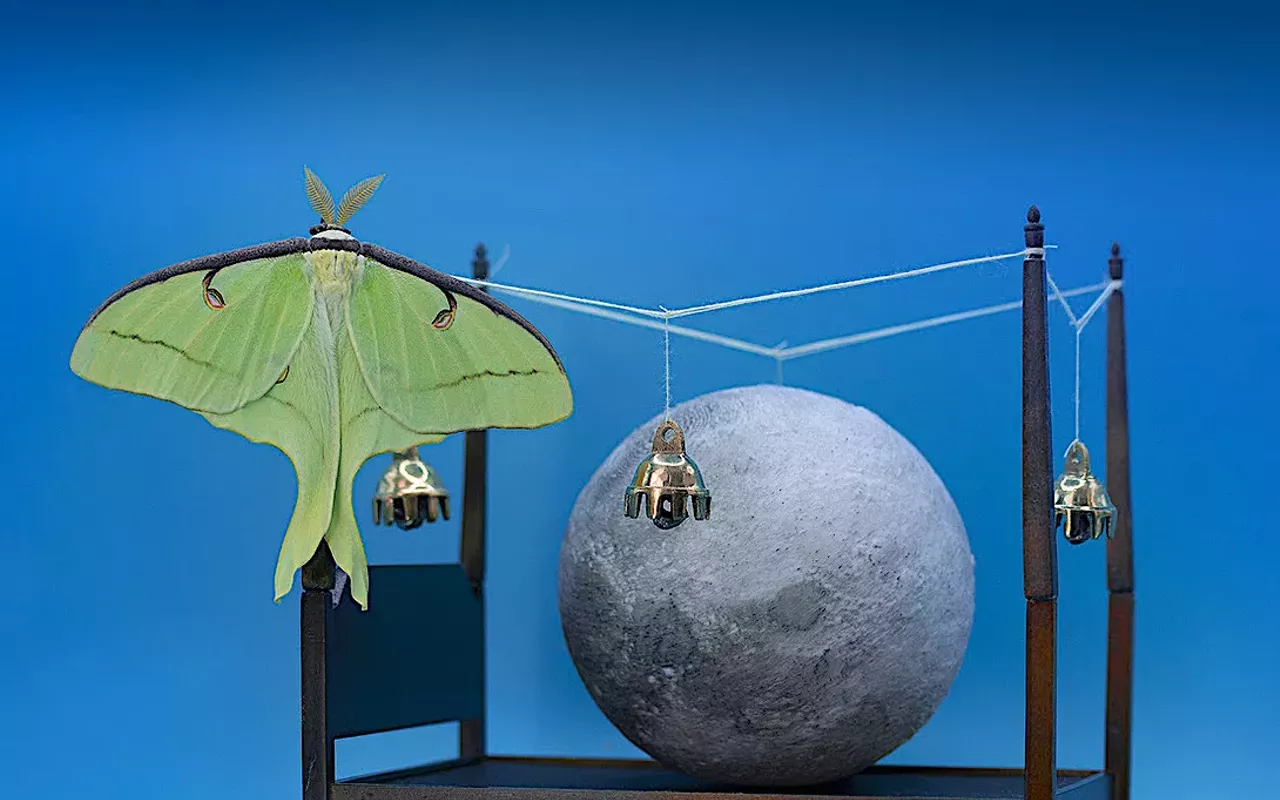 Image: Women & Their Work: Eye Moon Cocoon