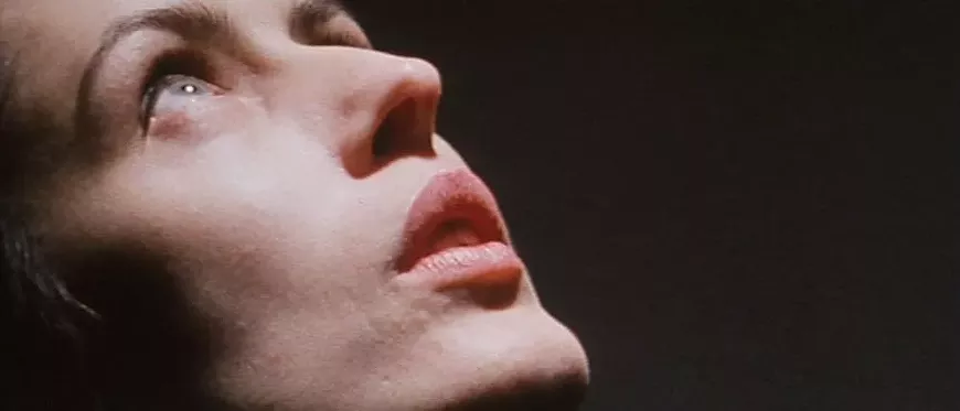 35._wonderland_film_still.webp
