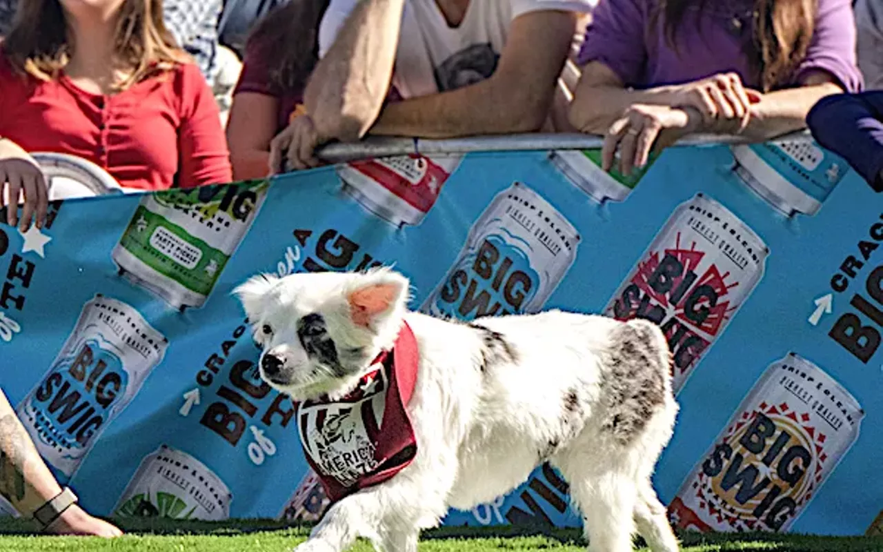 Image: Yard Bar: Tailgate Party + Puppy Bowl
