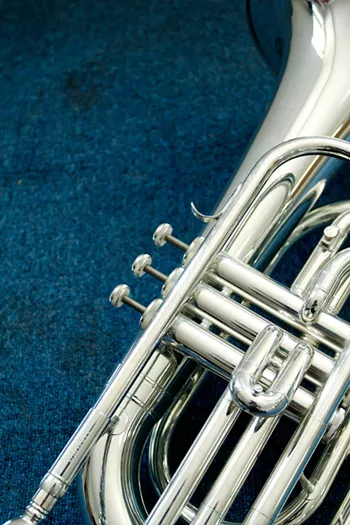Image: Yes Ma&rsquo;am Brass Band